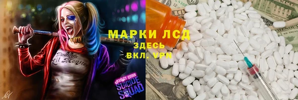PSILOCYBIN Няндома