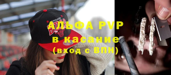 PSILOCYBIN Няндома