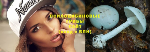 PSILOCYBIN Няндома