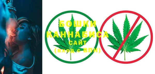 PSILOCYBIN Няндома