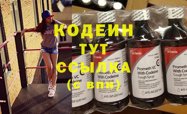 PSILOCYBIN Няндома